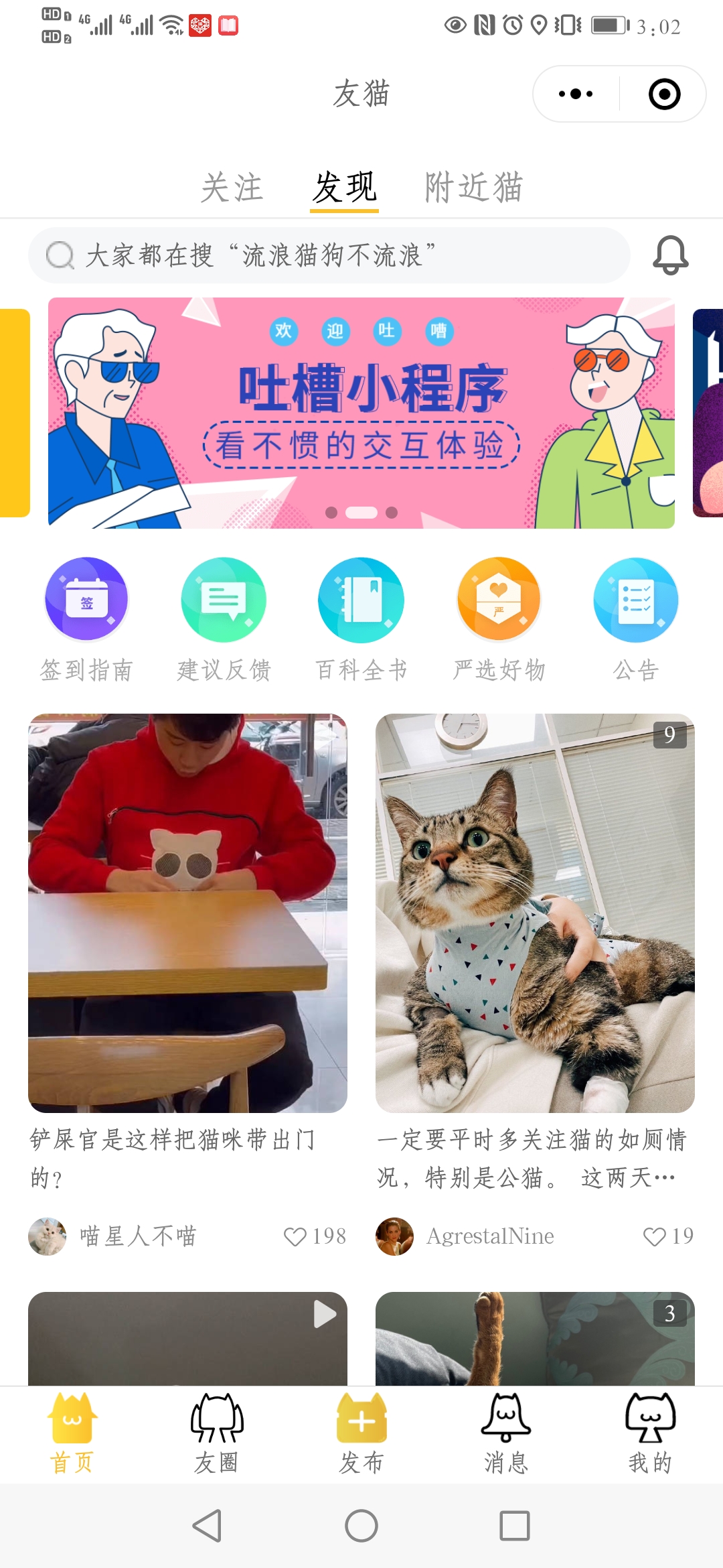 沙河口宠物猫社交社区平台